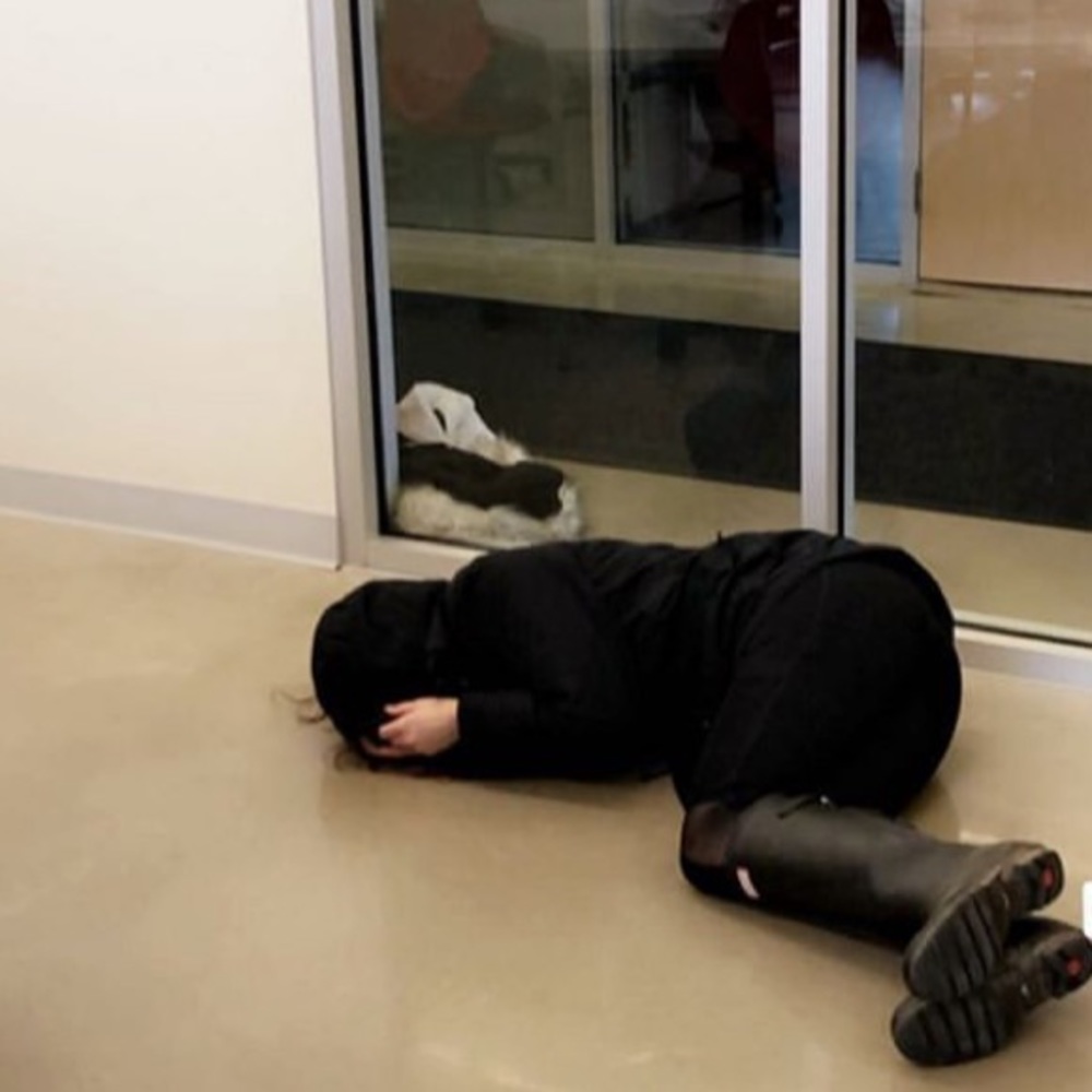 Meet your Posher, Allison